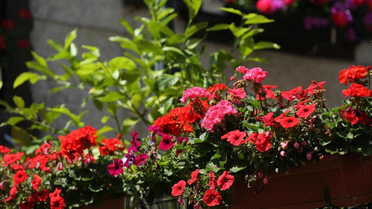 Haus Jutta Hotel Gößweinstein Kültér fotó
